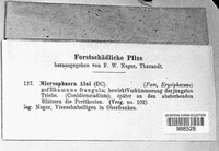 Image Associated With the Occurence